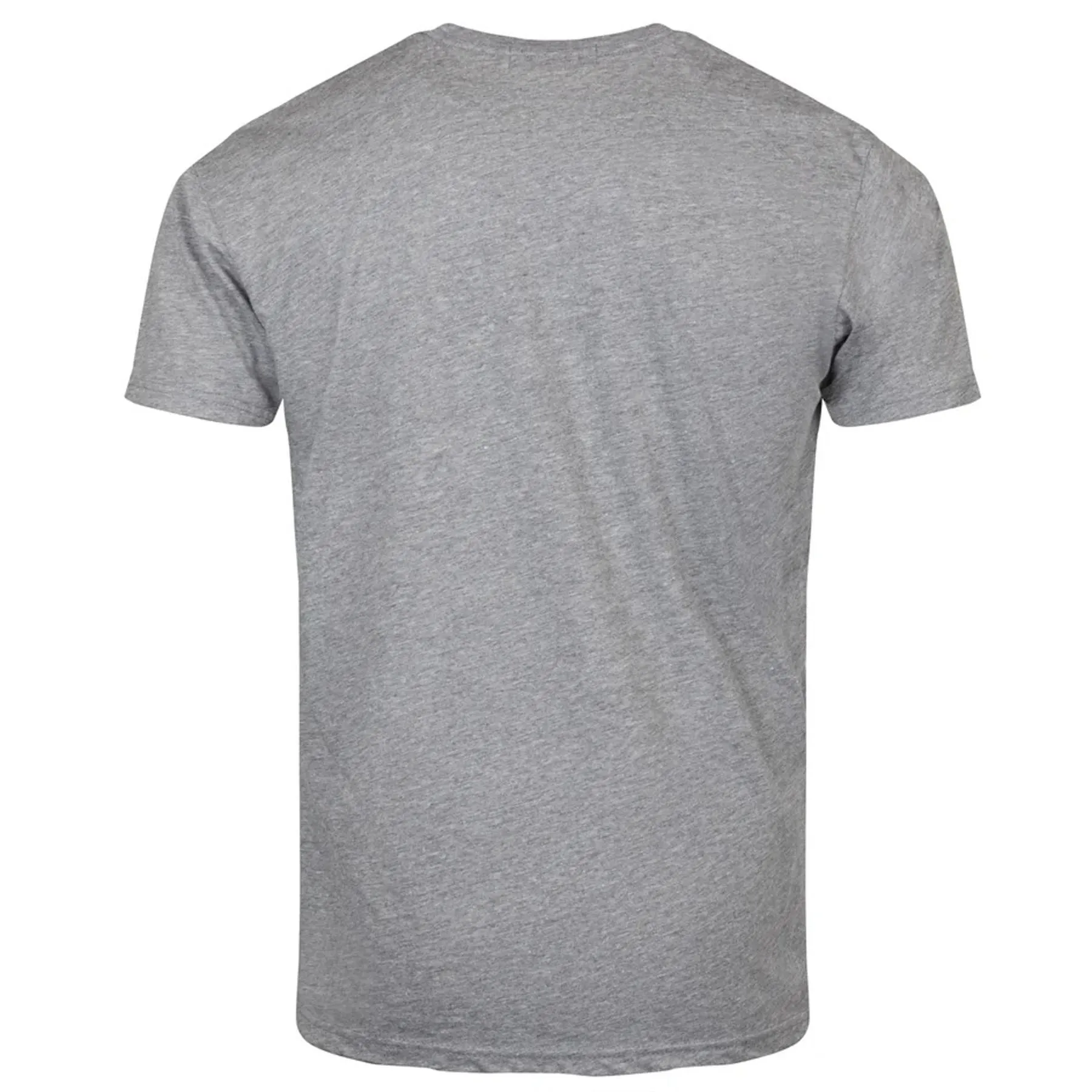 Coup Tee Heather Gray - W24