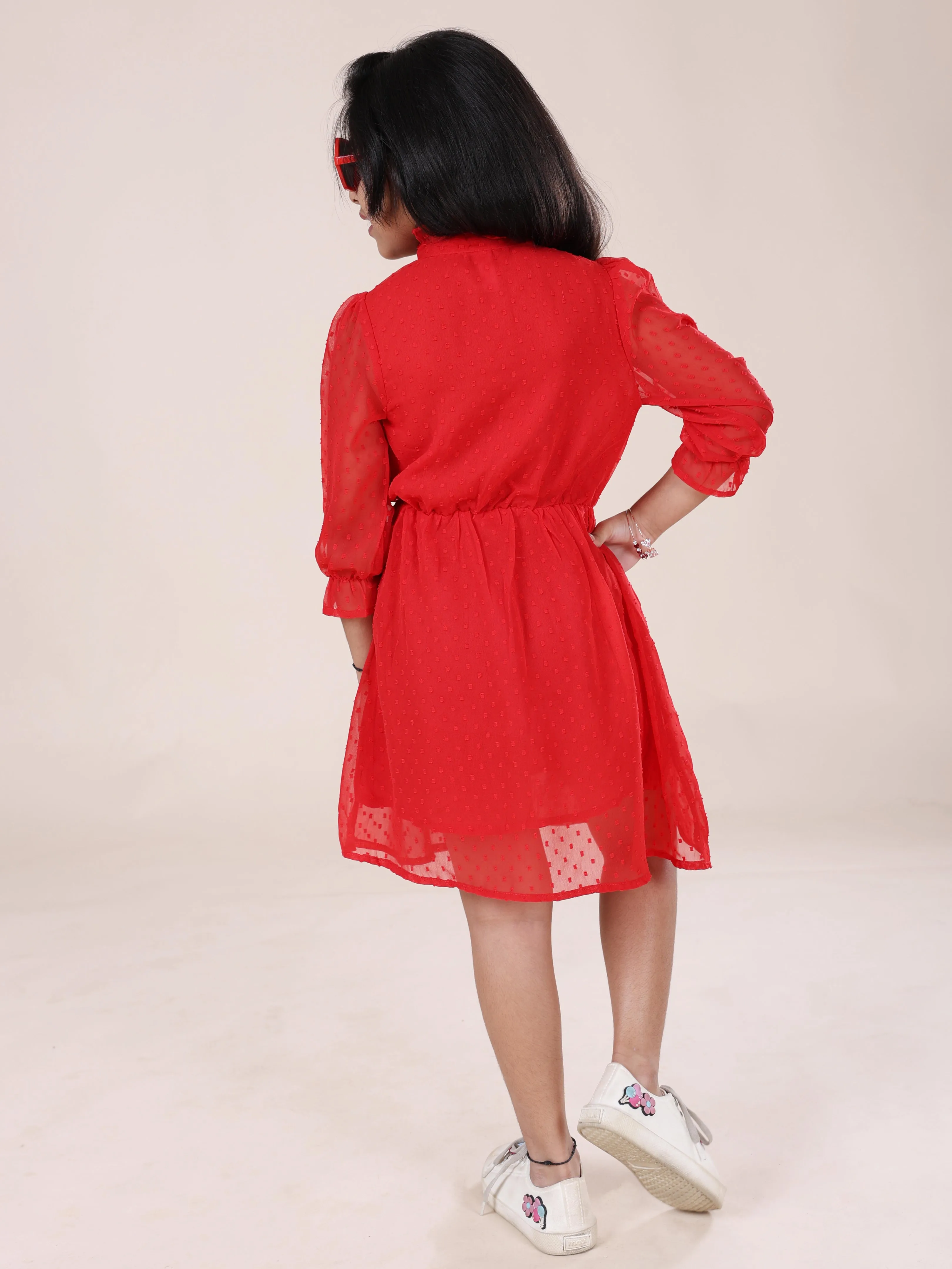 Girls Front Yoke Frill Detailed Placket Full Sleeves Dress