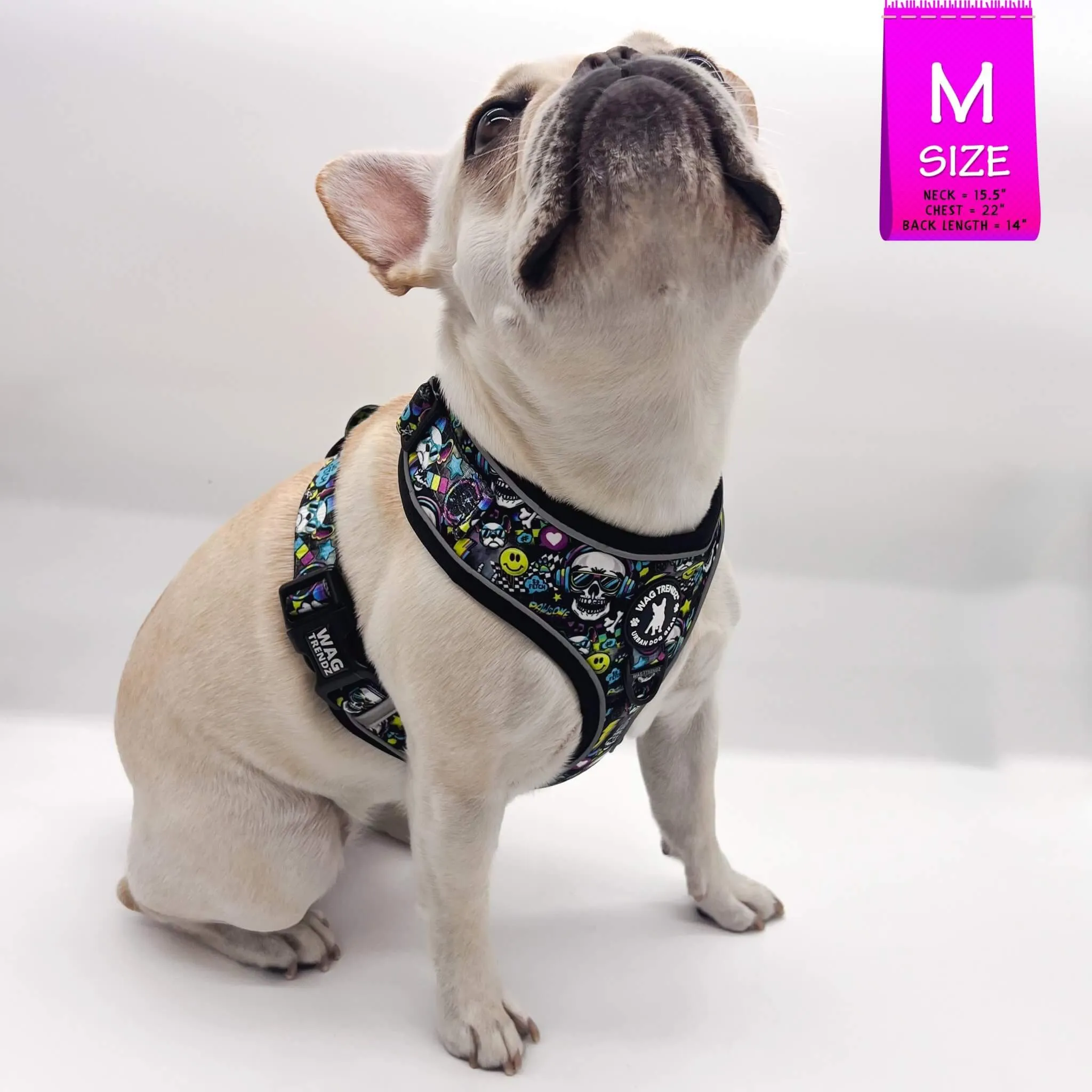 No Pull Dog Harness | Skull Society