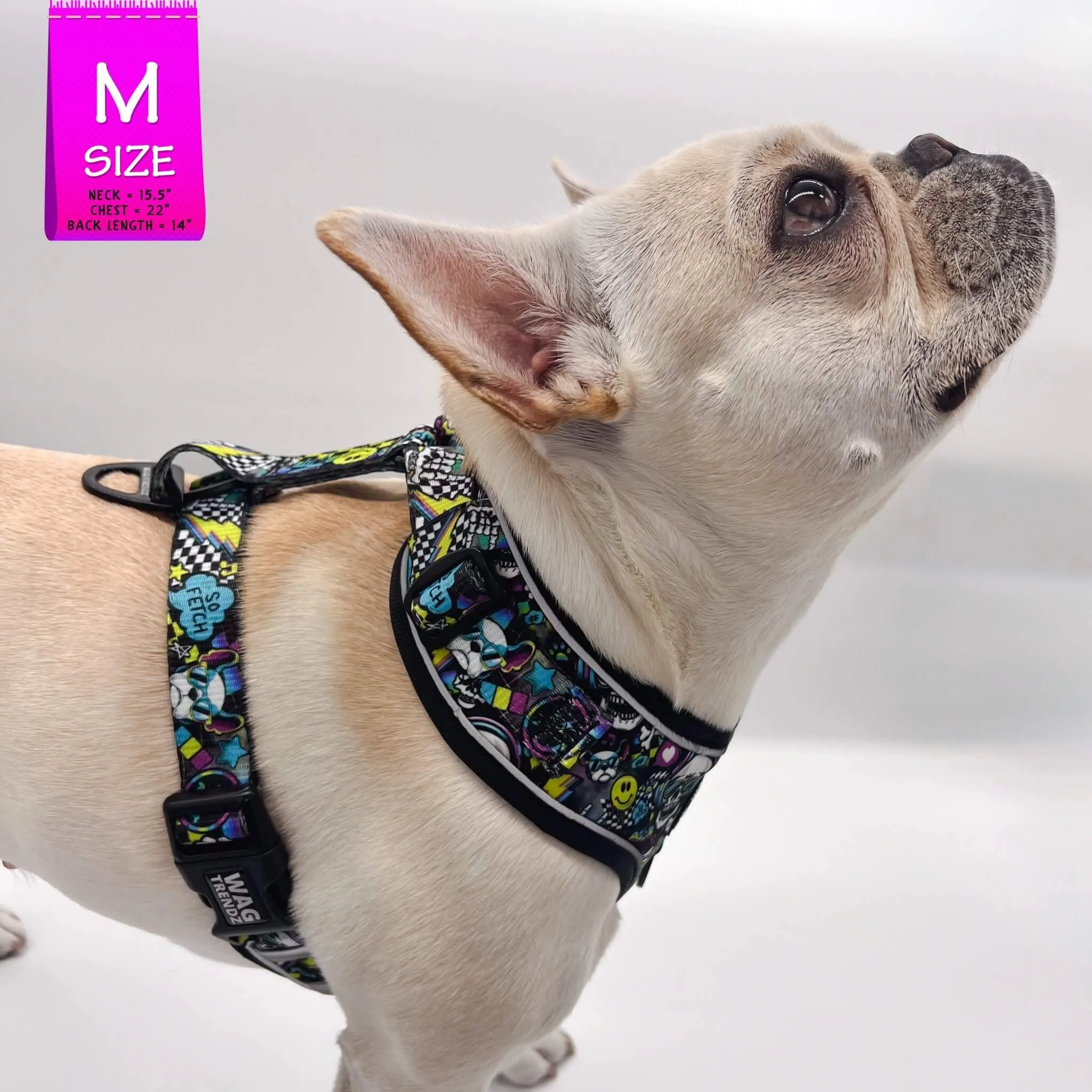 No Pull Dog Harness | Skull Society
