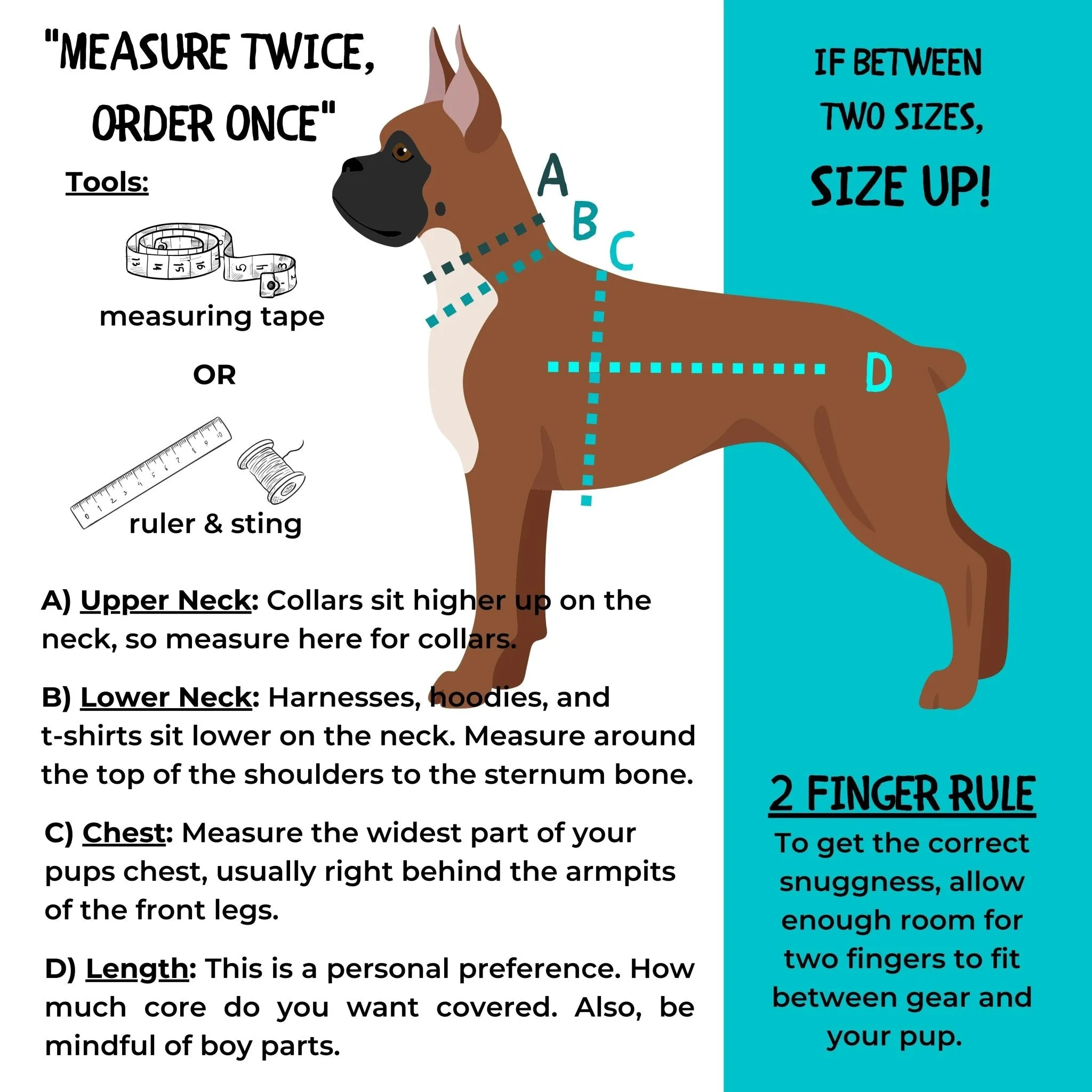 No Pull Dog Harness | Skull Society