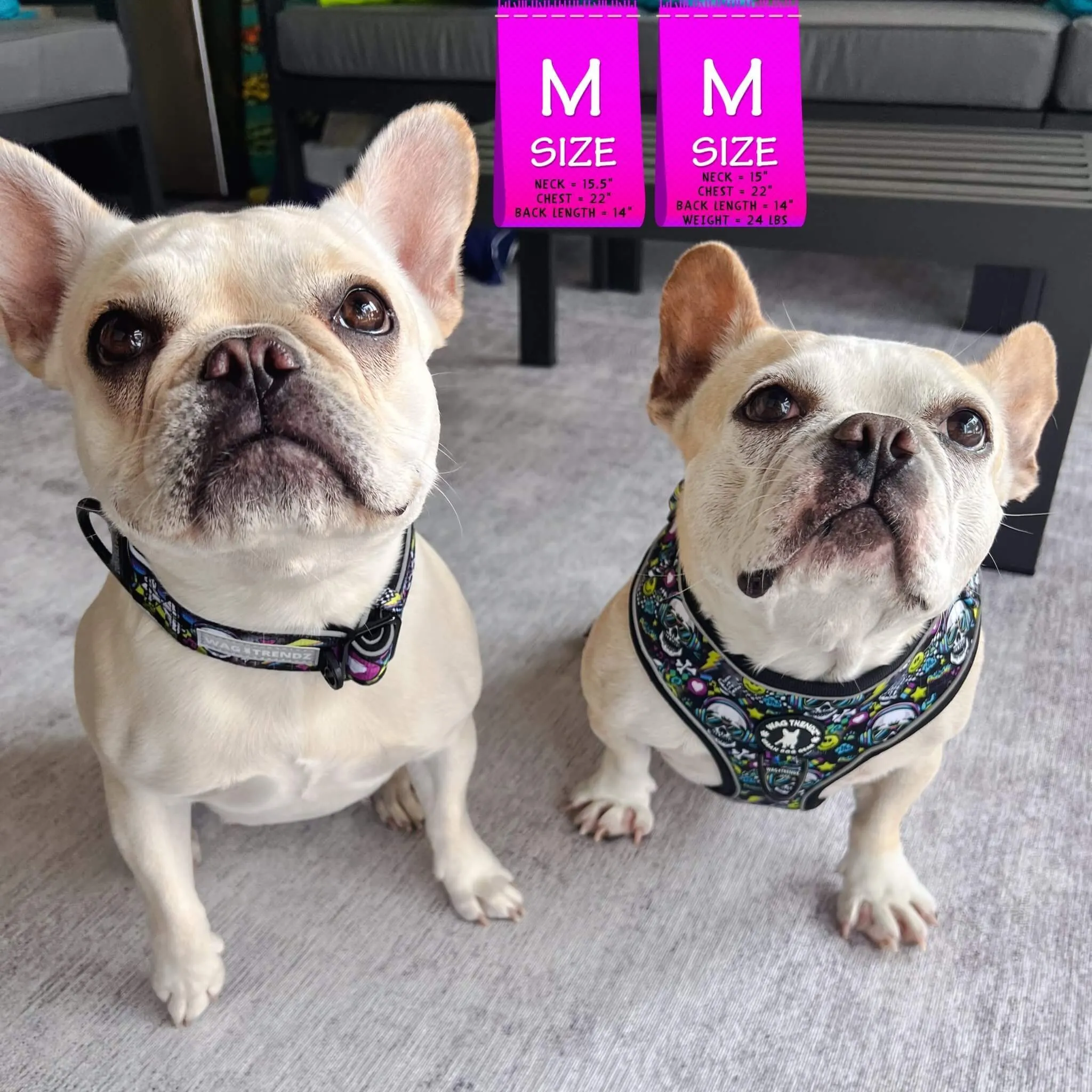 No Pull Dog Harness | Skull Society
