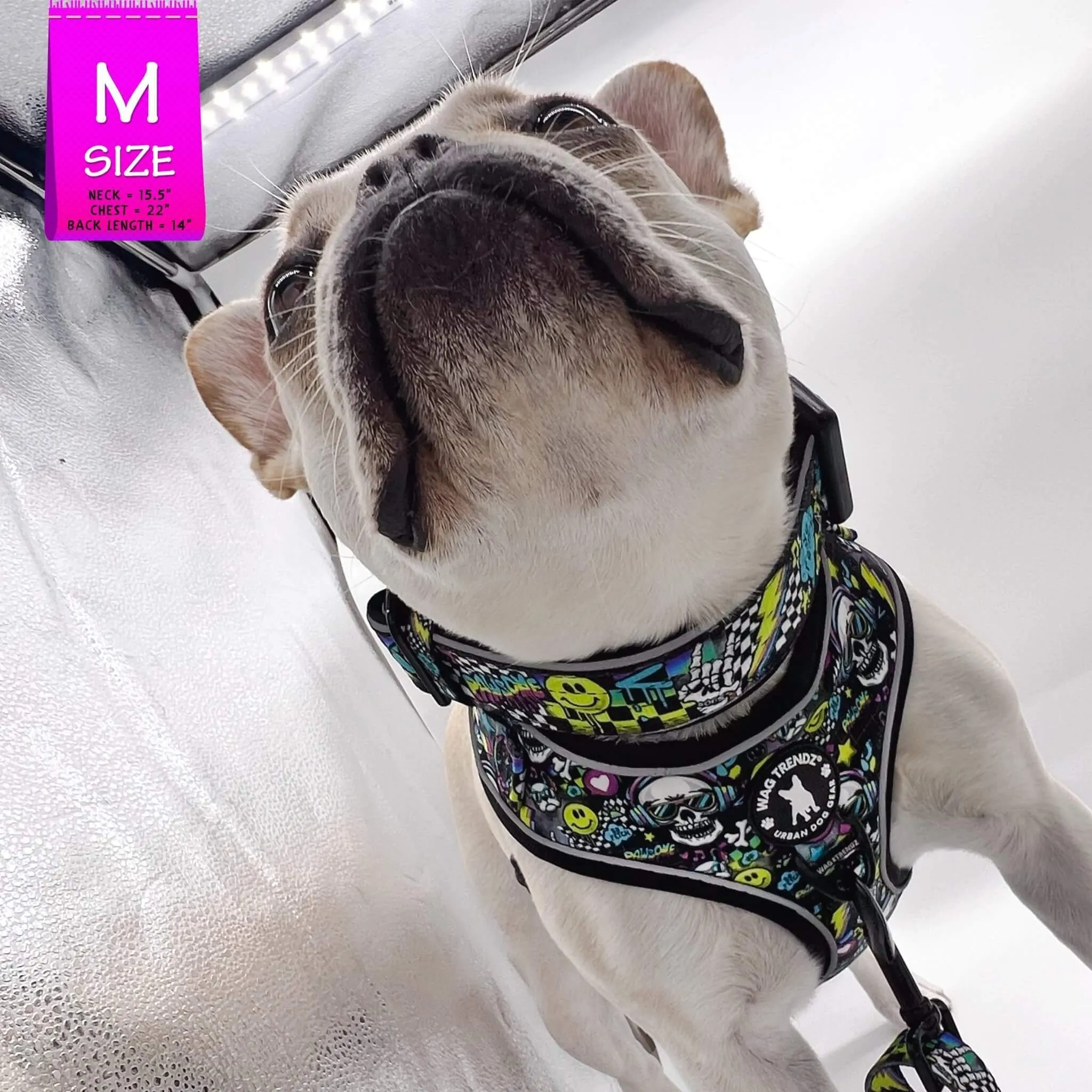 No Pull Dog Harness | Skull Society
