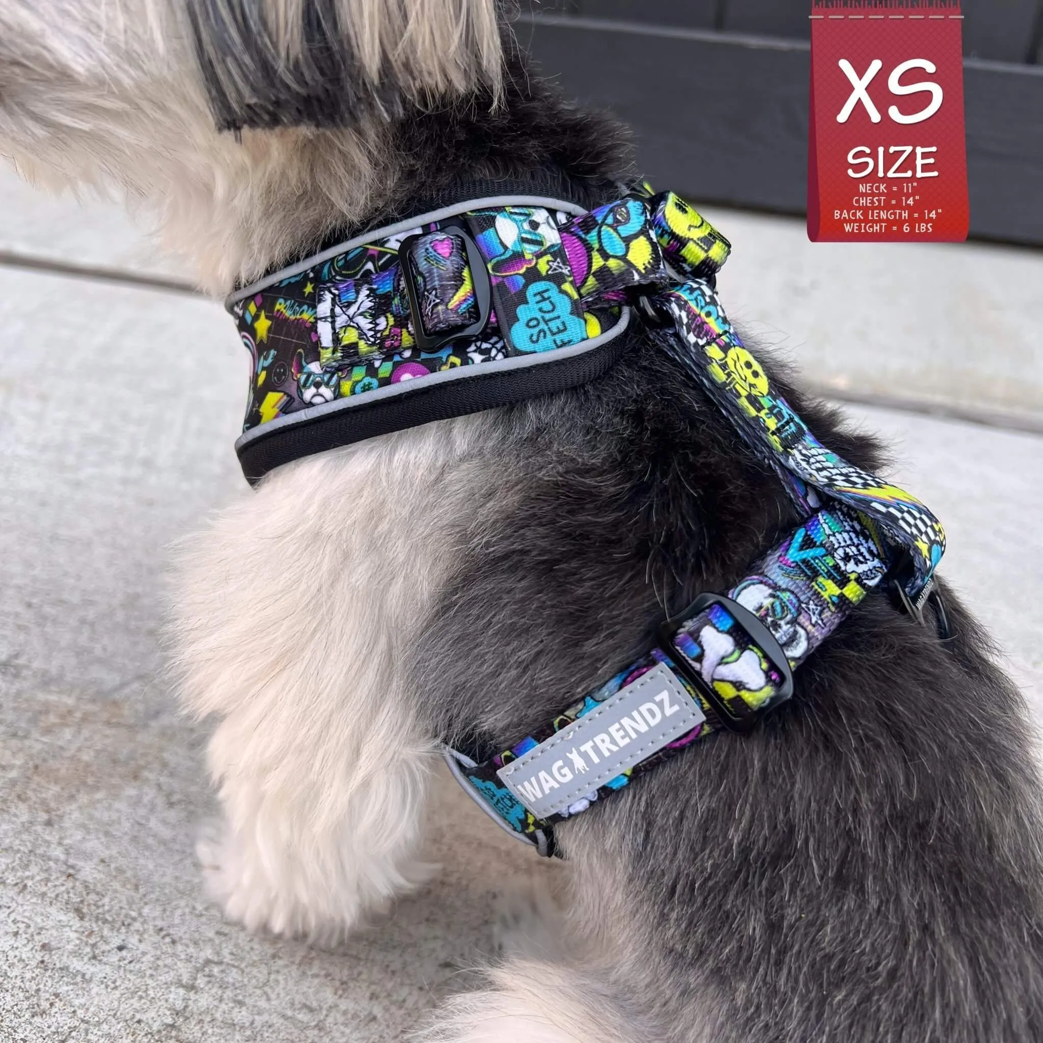 No Pull Dog Harness | Skull Society