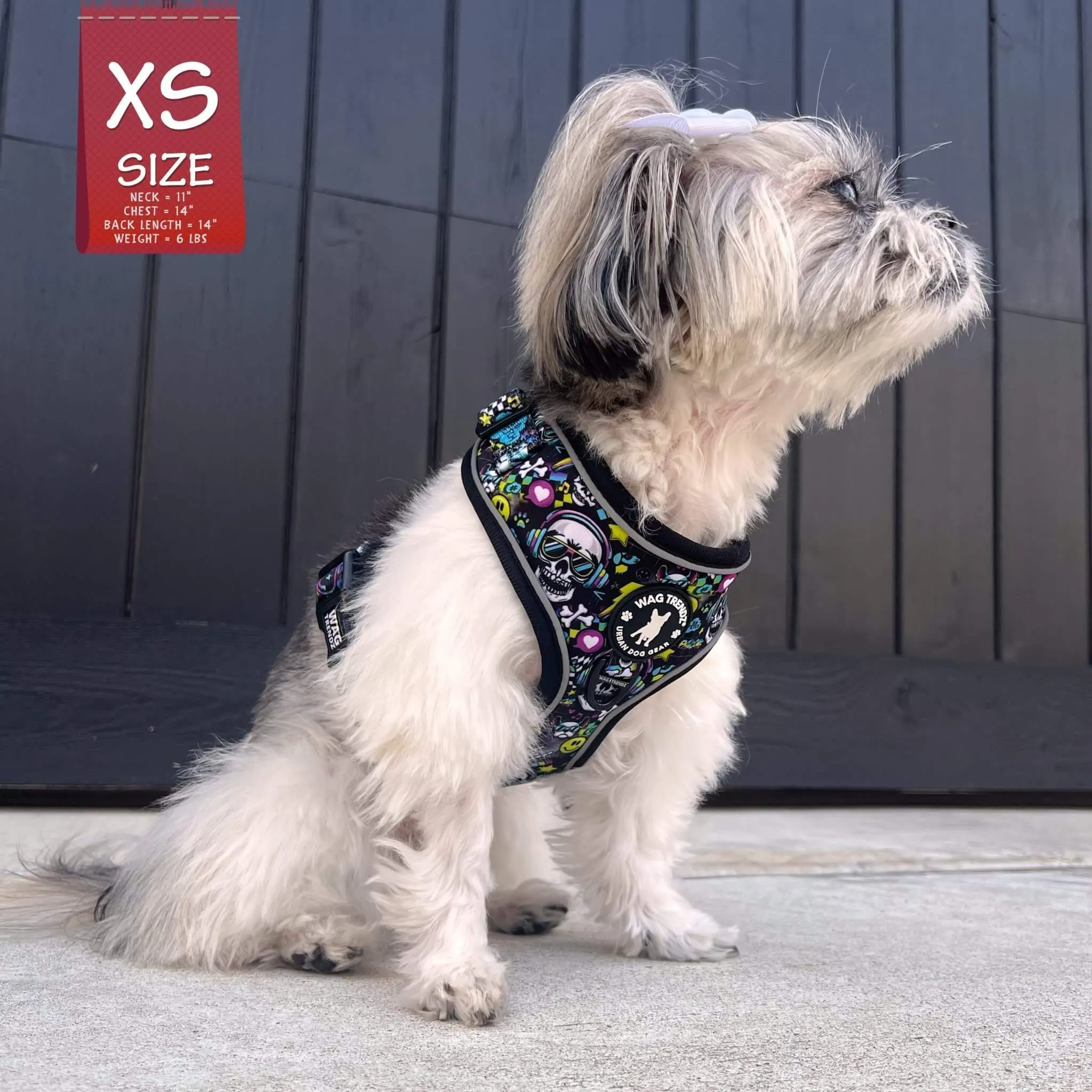 No Pull Dog Harness | Skull Society