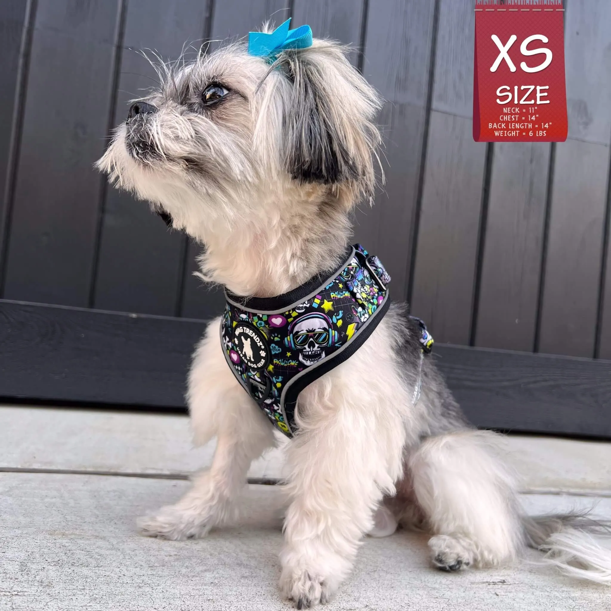 No Pull Dog Harness | Skull Society
