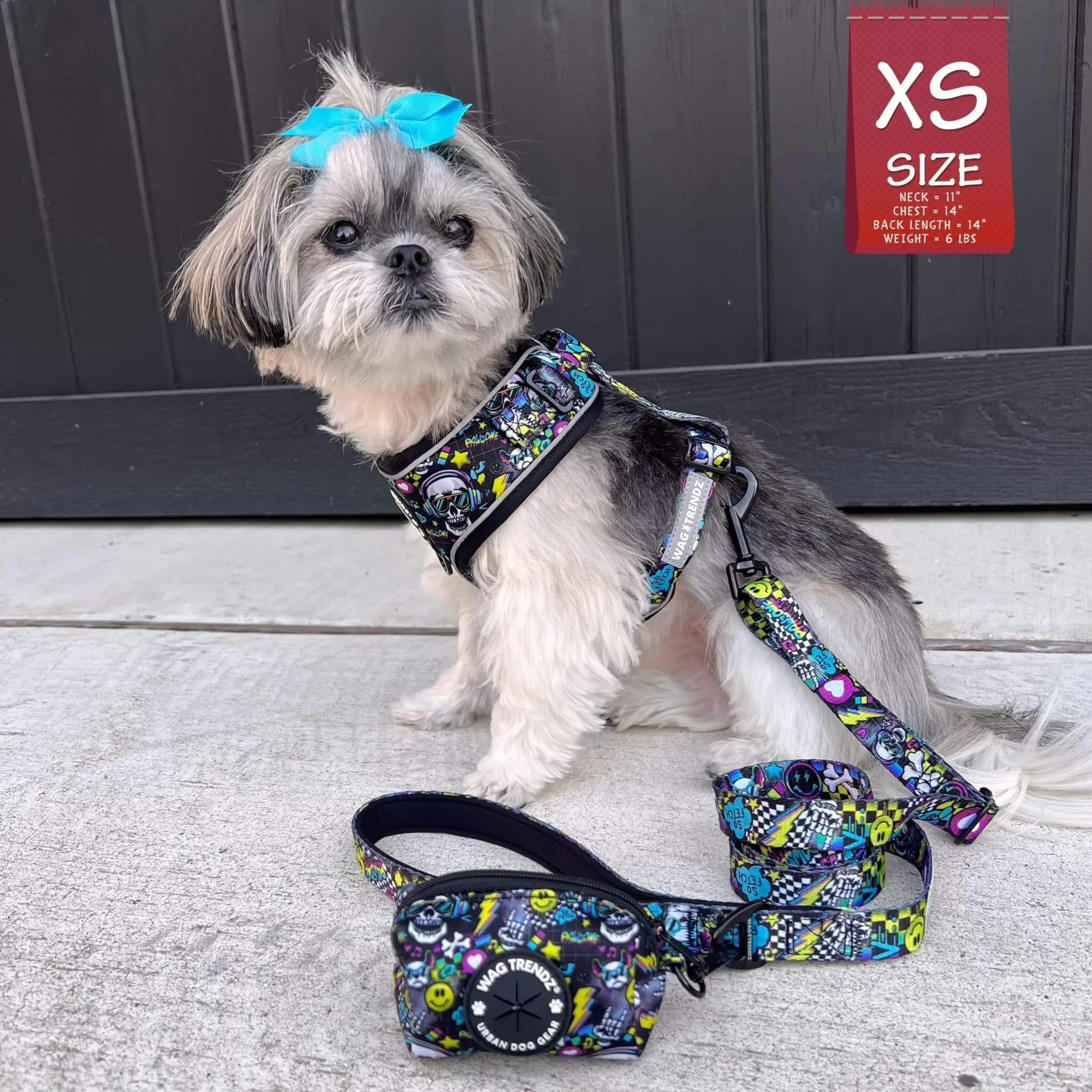 No Pull Dog Harness | Skull Society
