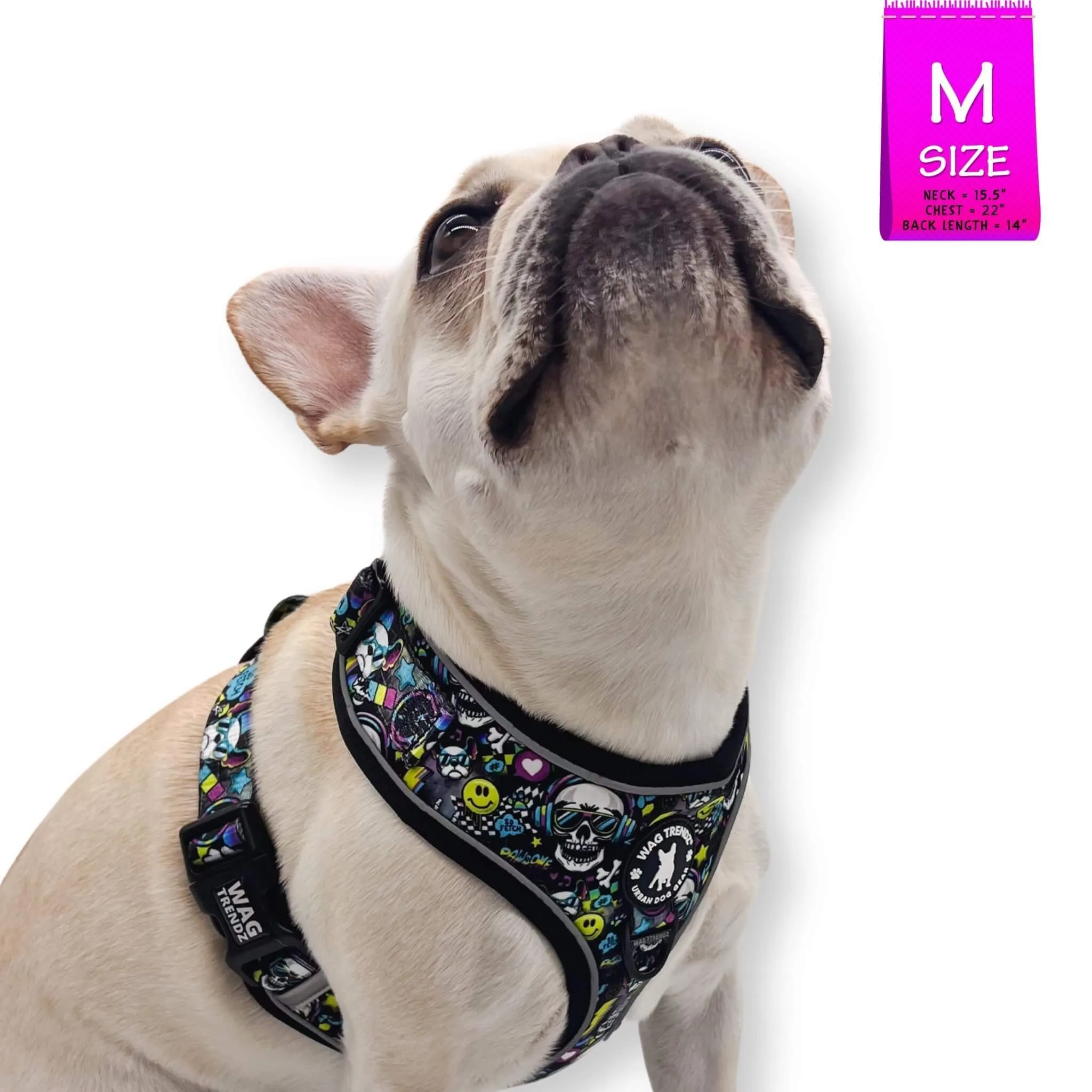 No Pull Dog Harness | Skull Society