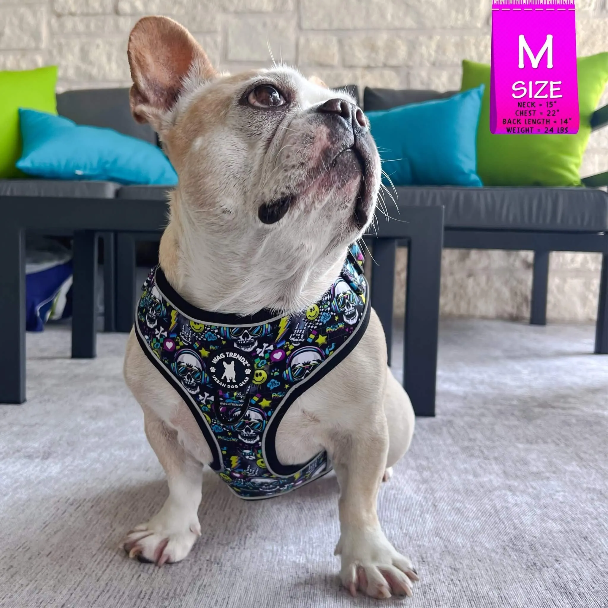 No Pull Dog Harness | Skull Society